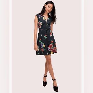 🌹NWT! Kate Spade Rare Roses Poplin Dress